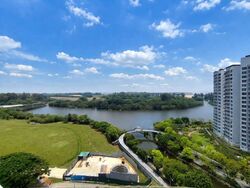 Blk 316D Waterway Cascadia (Punggol), HDB 5 Rooms #542308451